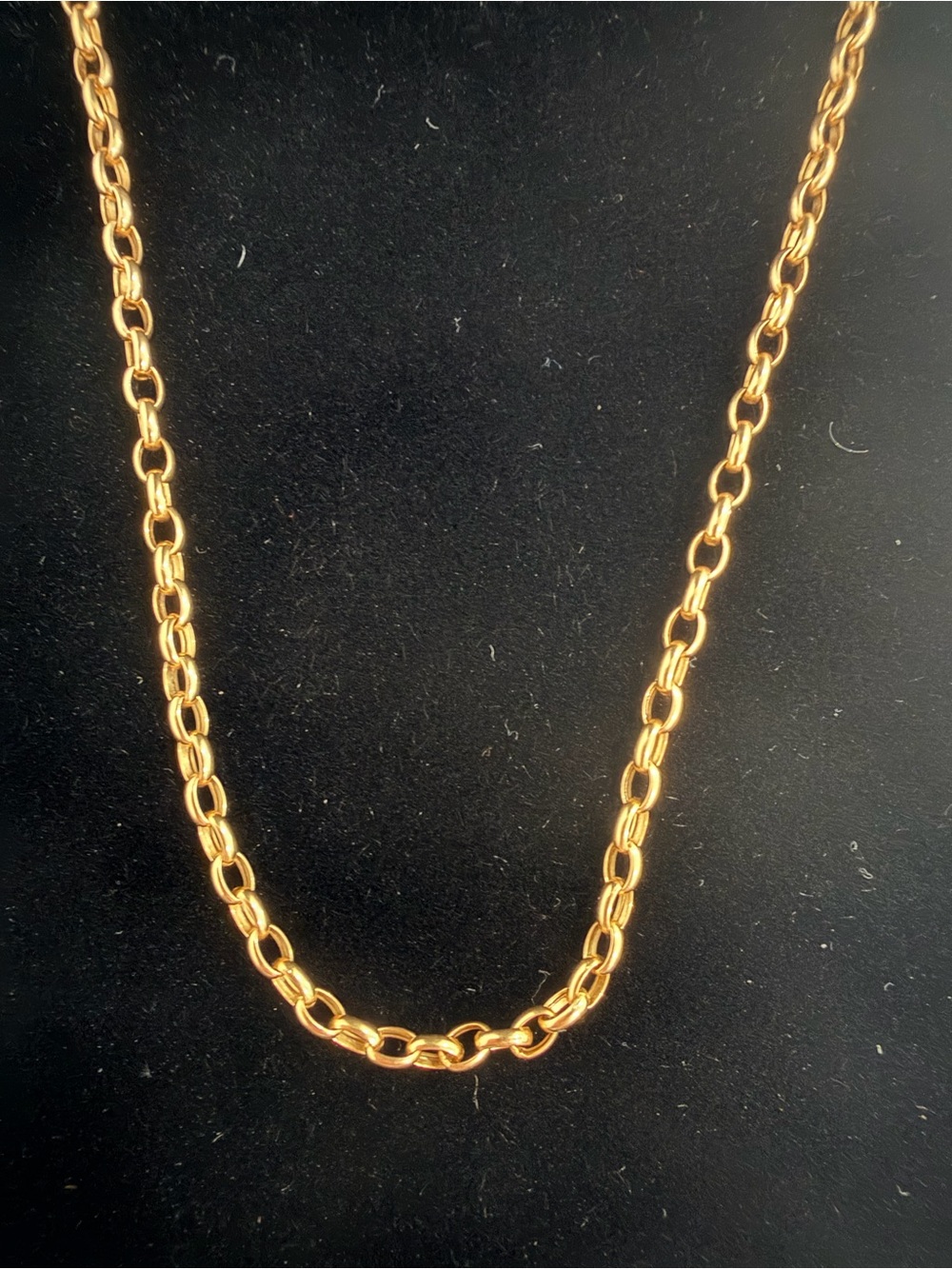 18 kt Gold Rolo Chain Necklace - Women Jewelry